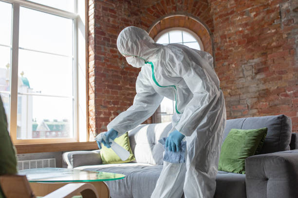 Why You Should Choose Our Mold Remediation Services in Pinconning, MI