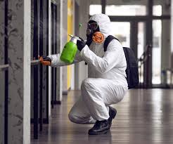 Forensic Mold Investigation in Pinconning, MI